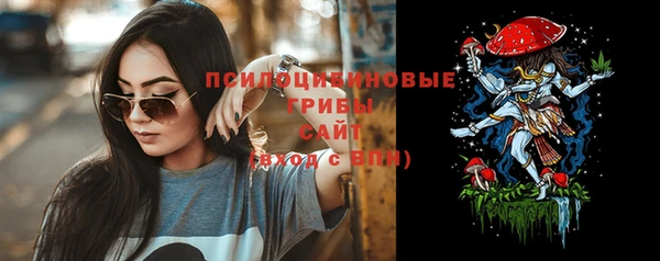 стафф Алзамай
