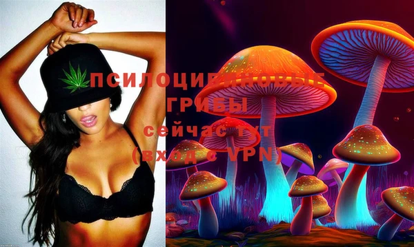 мяу мяу мука Алексин