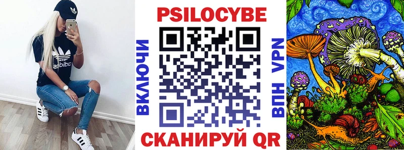 Псилоцибиновые грибы Psilocybe  цены наркотик  Комсомольск 